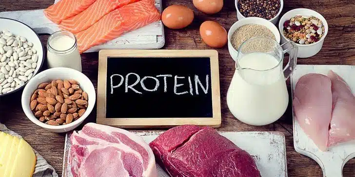 Complete High-Protein Diet Meal Plan for Women