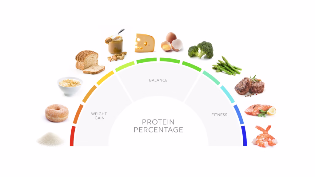 Challenges and Practical Solutions for High-Protein Diets