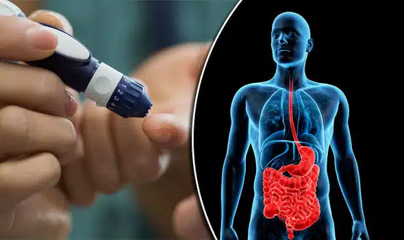 Diabetes & Gut Health: How Your Microbiome Controls Blood Sugar