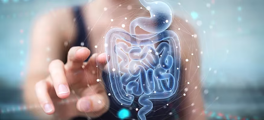 Diabetes & Gut Health: How Your Microbiome Controls Blood Sugar