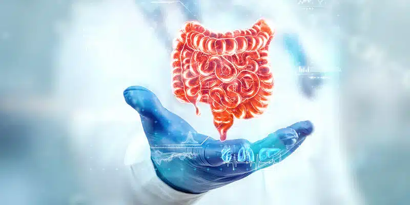 Diabetes & Gut Health: How Your Microbiome Controls Blood Sugar