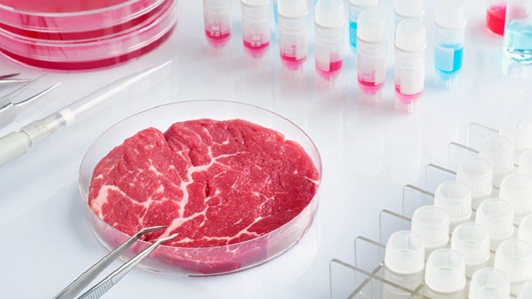 Lab Protrein Lab-Grown Protein: Sustainable & Low-Carb - Sugar Detox Lab
