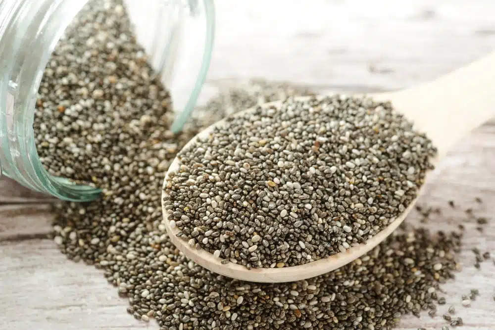 Can Dogs Eat Chia Seeds? Powerful Health Benefits
