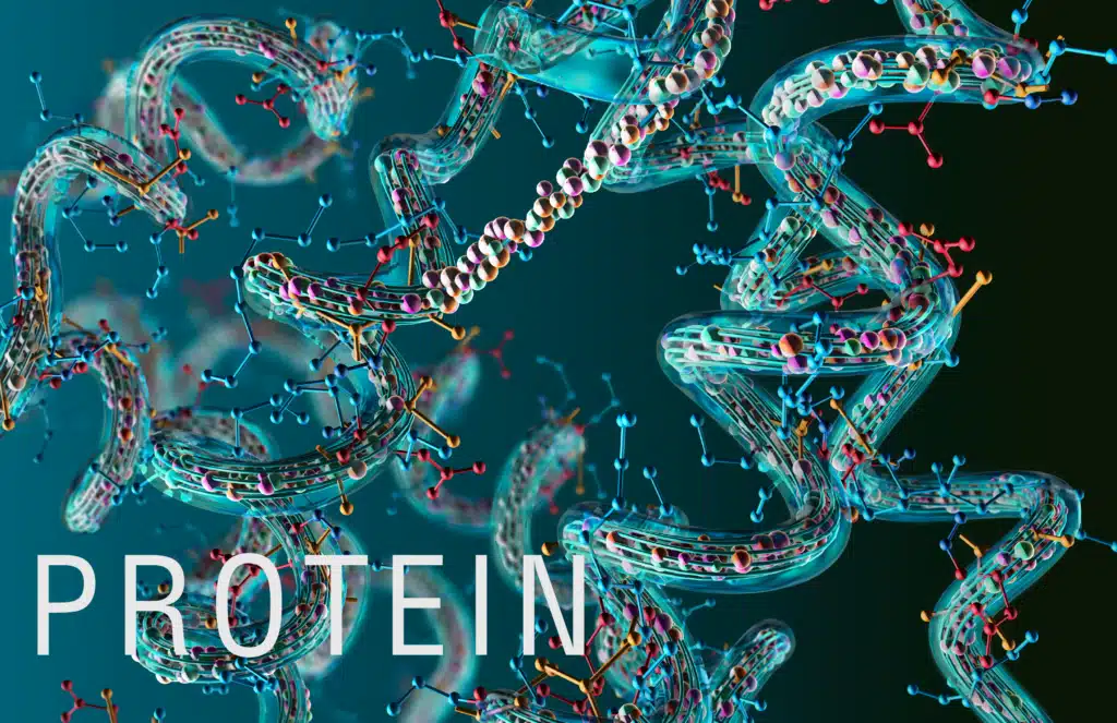 Protein Optimization