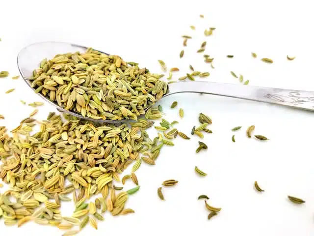 Fennel Seeds: What They Are and How to Cook with Them for Healthy, Flavorful Meals