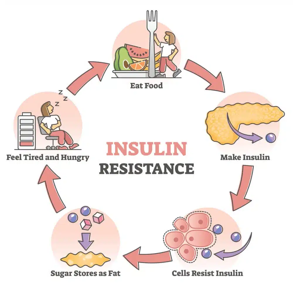 7-Day Insulin Resistance Meal Plan