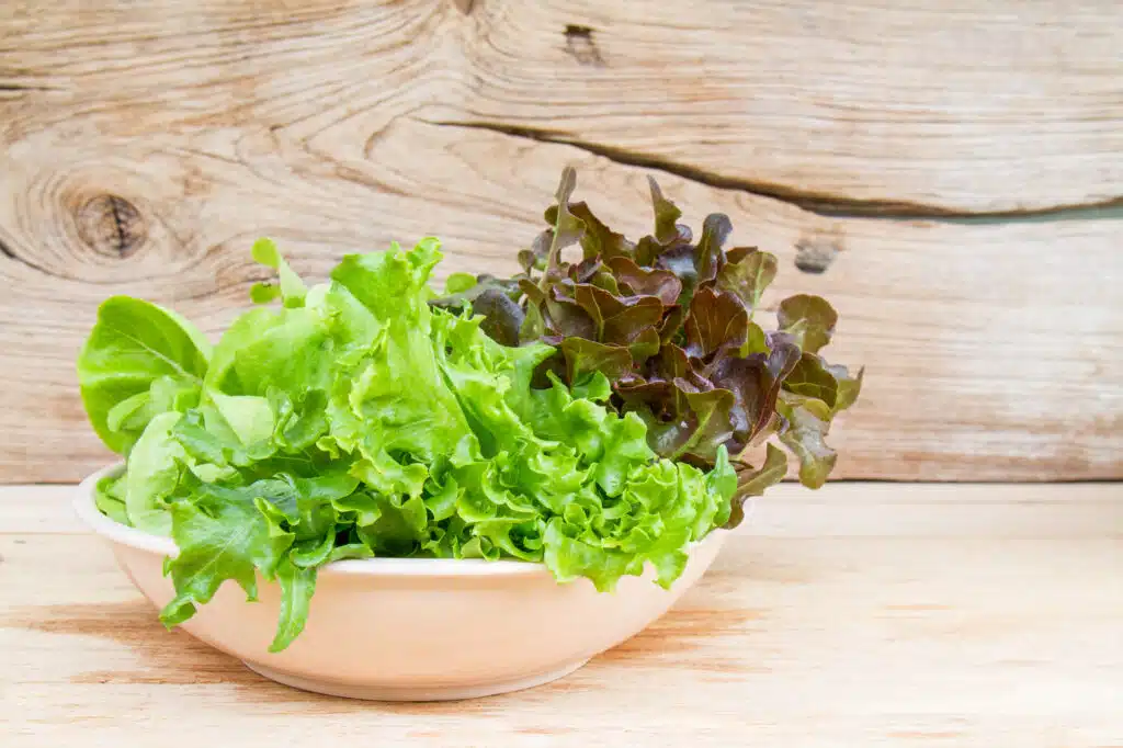 Is It Safe to Eat Salad Greens