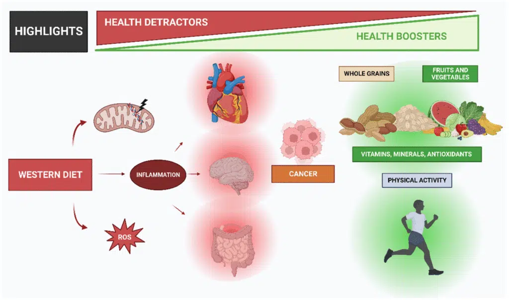 Ultra-Processed Foods