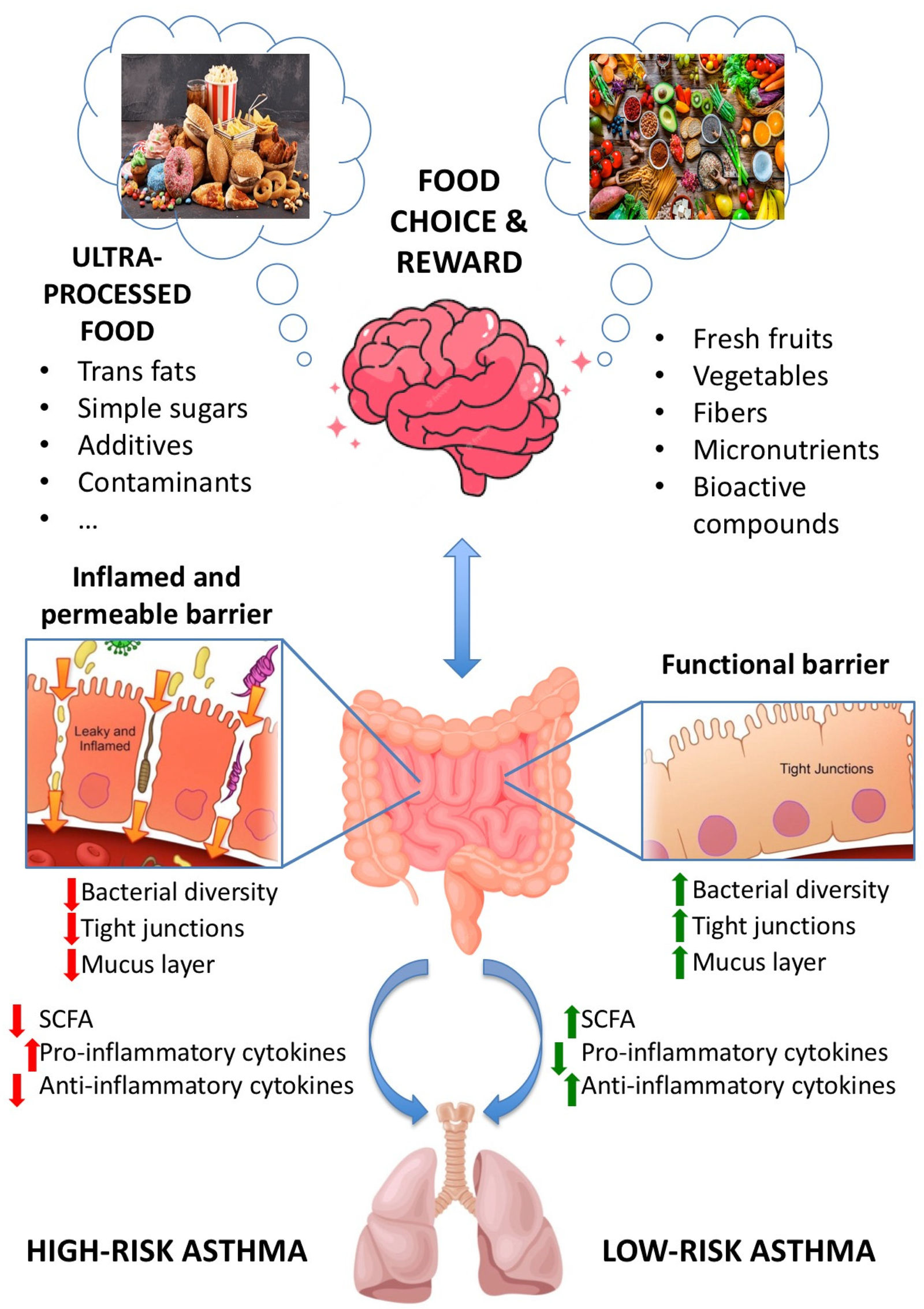 Ultra-Processed Foods
