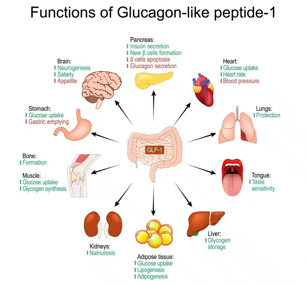 GLP-1 Receptor Agonist Medications